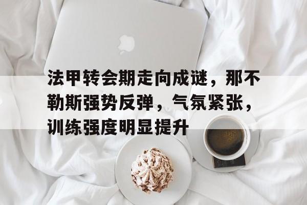 法甲转会期走向成谜，那不勒斯强势反弹，气氛紧张，训练强度明显提升的简单介绍-爱游戏官方网站